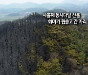 [사진구성] 사흘째 동시다발 산불…화마가 휩쓸고 간 자리