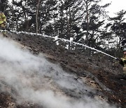 비 내리며 전국 산불 속속 진화…복구 지원 절실