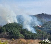 순천 송광면 산불 27시간 만에 완진…축구장 150개 면적 소실(종합)