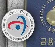 하루 출근에 1,214만 원 수령…금감원 정기감사 발표