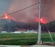 전남 함평·순천 산불 밤새 더 커져…일출 후 헬기 투입(종합)