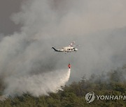 함평군, '광주 군 공항 설명회' 연기…"산불 진화 집중"