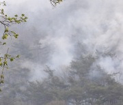 사흘째 곳곳이 빨간 대전 안평산