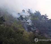 사흘째 곳곳이 빨간 대전 안평산