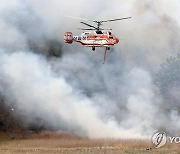 함평 산불 진화 작업