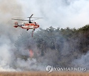 전남 이틀간 산불로 축구장 745개 면적 산림 사라져