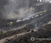 잔화 정리 중인 소방대원