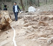 진주 보도연맹 유해 발굴 현장