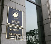 금감원, 美금융제재 심포지엄 개최 지원...글로벌 공조