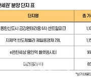 "옆에 반도체 호재 있습니다" 부동산 휩쓰는 '반세권'