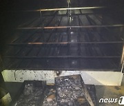 부산 서구 수산물가공단지서 불…인명피해 없어