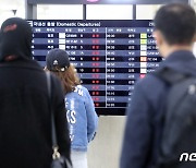 결항 안내에 집중된 시선