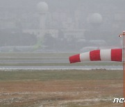 제주 해안에 짙은 바다 안개…"항공기 운항정보 미리 확인해야"