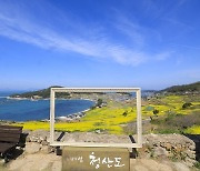 완도군, 청산도 ‘슬로걷기축제’ 개최