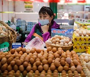 중국서 ‘금란’ 된 계란… 사룟값 상승·사재기에 역대 최고가