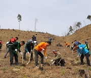 하이트진로, 강릉 산불피해지역에 축구장 1.5배 규모 ‘아름다운숲’ 가꾼다