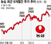 라면값 올려도 잘팔리네… 농심 주가 고공행진