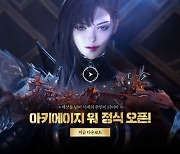 “아키에이지 워는 표절” 엔씨소프트, 카카오게임즈에 소송