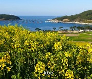 세계 슬로길 1호 '청산도'에서 한 달간 슬로걷기 축제 열린다