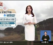 [날씨] 울산 보궐선거일 비와요…강한 바람 ‘순간풍속 20㎧ 이상’