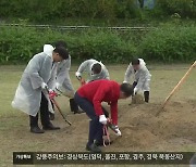 개발지서 버려진 나무, 도심 하천에 심어 ‘새활용’