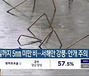 내일까지 5㎜ 미만 비…서해안 강풍·안개 주의