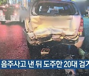 음주사고 낸 뒤 도주한 20대 검거