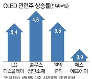 삼성 통큰 투자 덕에 디스플레이株 '활짝'