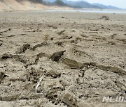 완도·통영 상습가뭄재해지역 지정 검토…'인공증우'도 활용