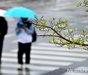 지리산 뱀사골에 80.5㎜ 비…6일까지 비 이어져