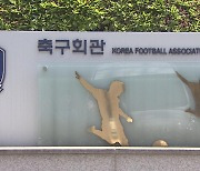 '축구협회 기습사면' 금전비리·폭력행위자 다수 포함