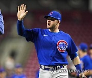 Cubs Reds Baseball