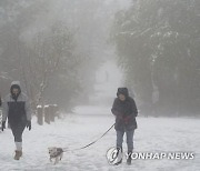 기후변화로 100년 전 사라졌던 美호수가 다시 생겨났다