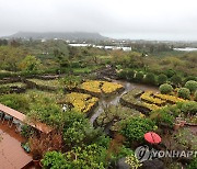 제주 강풍·호우특보 모두 해제…공항 점차 정상화(종합)