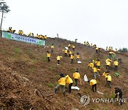 속초시청 식목일 행사