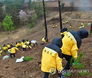 속초시청 식목일 행사