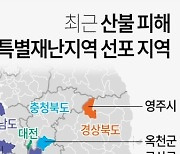 [그래픽] 최근 산불 피해 특별재난지역 선포 지역