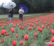 [오늘의 날씨] 대구·경북(6일,목)…오전까지 강풍, 낮 최고 21도