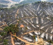 충남교육청, 산불피해 학생 ‘재난 트라우마’ 해소 지원 나서