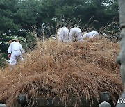 궂은 날씨 속 진행되는 '청완 예초의'