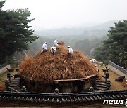 [뉴스1 PICK]'전하 시원하시나이까' 한식날 태조 건원릉 '청완 예초의'