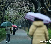 "비온 뒤 으슬으슬"…꽃샘추위, 큰 일교차에 주의할 질환은