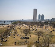 한강변 콘크리트 강둑 다 걷어내고 나무 심는다