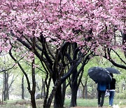 6일 대전·세종·충남, 흐리고 쌀쌀…낮 최고기온 14도