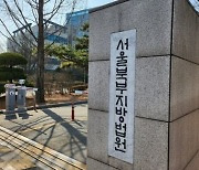 가로수 들이받아 사망사고 낸 운전자 무죄…法 "이미 썩은 나무"