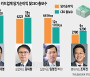 현대카드 실적 5위인데… 정태영 부회장 연봉은 톱