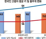 '꼬부랑 할머니'는 옛말…"70세 이상 고령자, 키 크고 날씬해졌다"