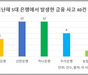 지난해 5대 은행 금융사고 40건에 비중 82%