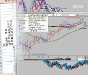 3천억 원대 불법 ‘선물 거래’ 사이트…BJ까지 동원