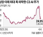 챗GPT에 두 배 뛴 C3 AI…공매도 공격에 털썩